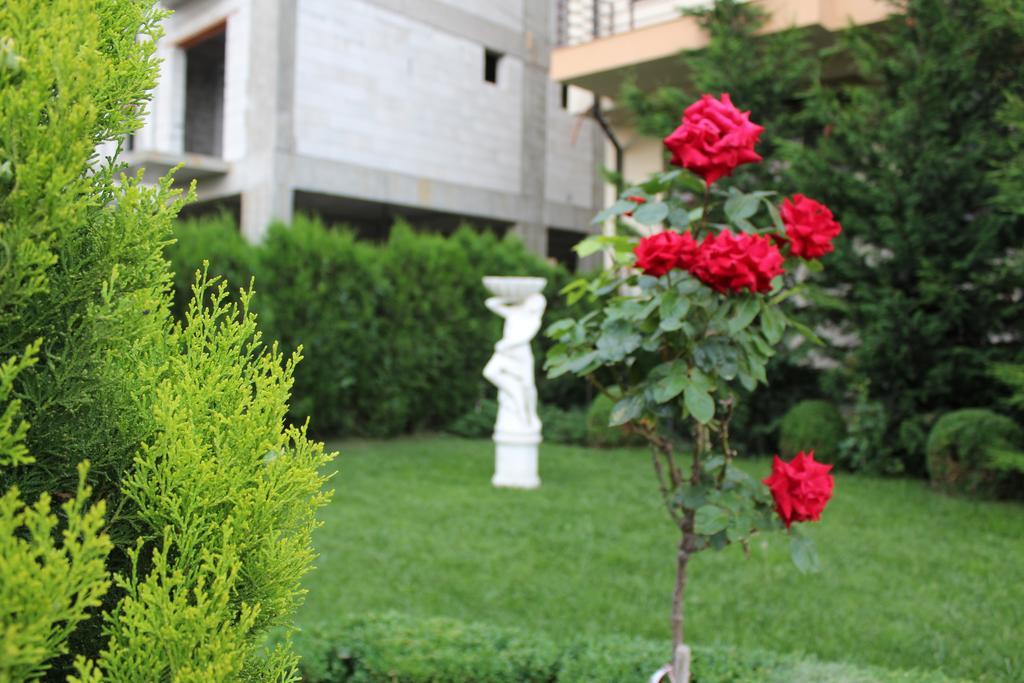 Hotel Cristal Năvodari Extérieur photo